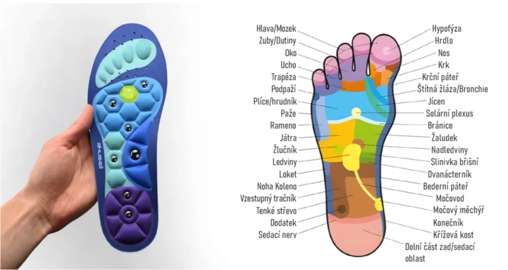 Akusoli foot pressure points C SM CS